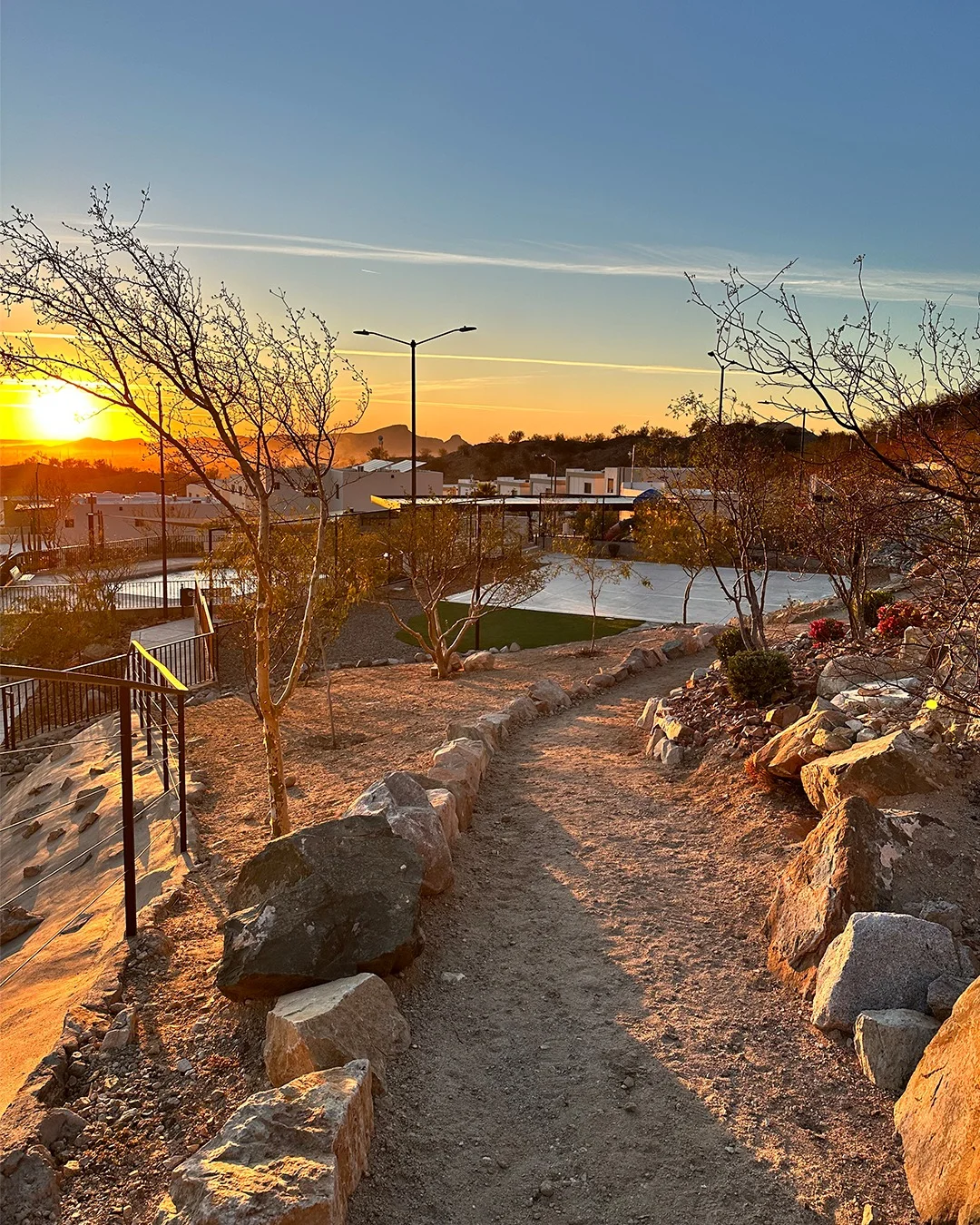 Estilo de vida Cárdeno